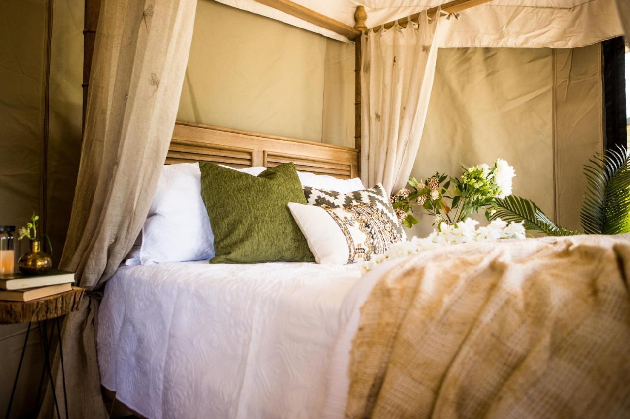 Orchard Valley Glamping Отороханга Екстериор снимка