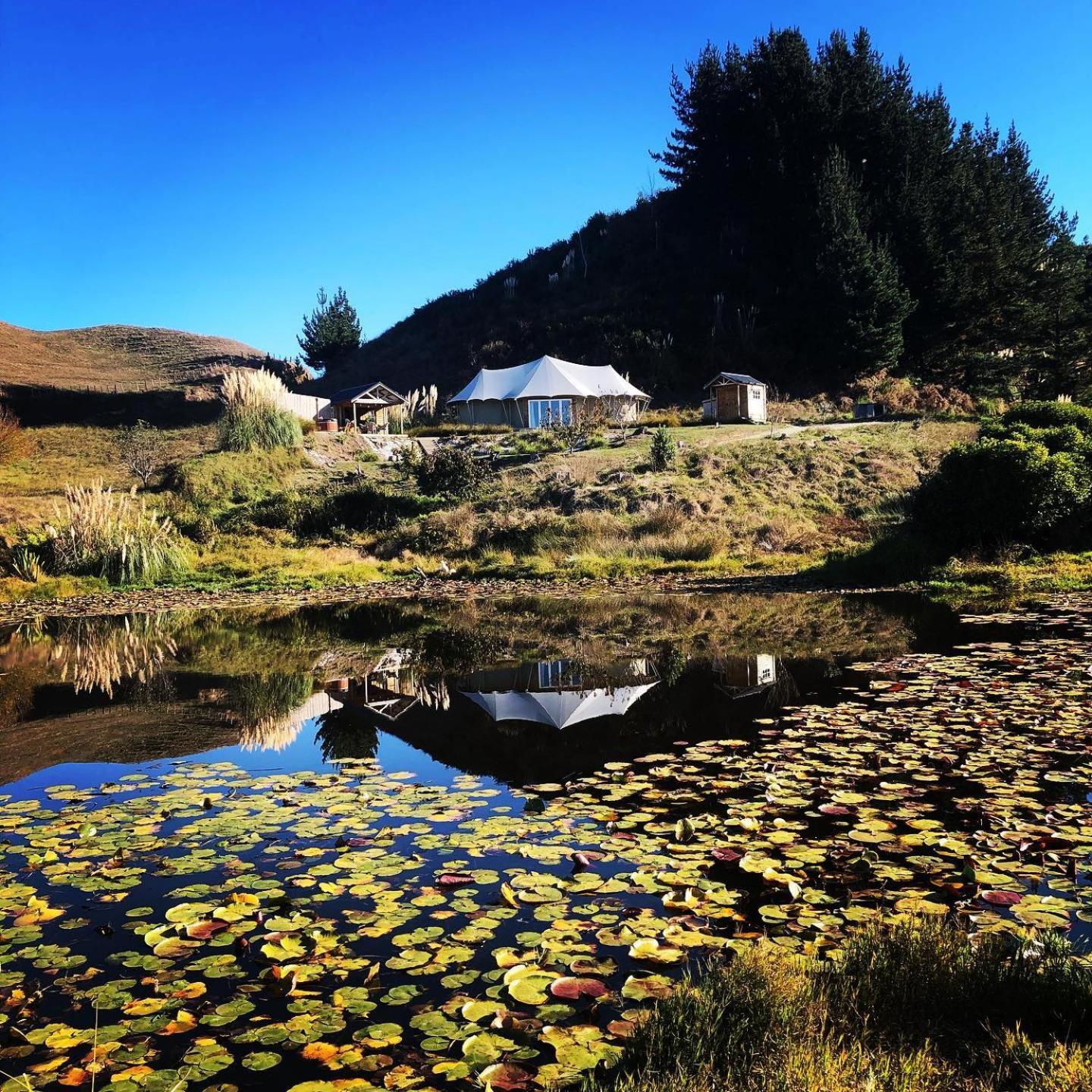 Orchard Valley Glamping Отороханга Екстериор снимка